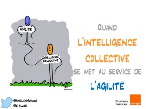 quand lintelligence collective
